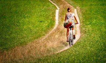 Betrunkener Radfahrer touchiert Polestar in Dresden-Äußere Neustadt