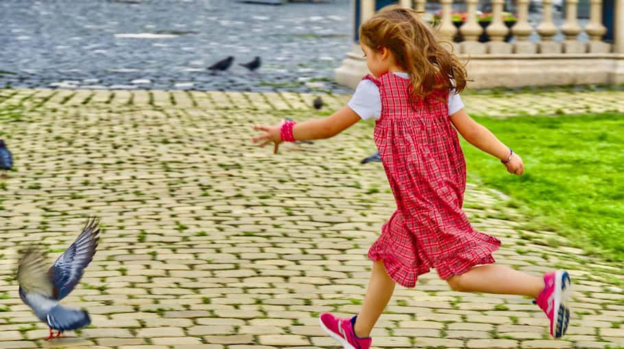 Verfolgungsfahrt in Riesa endet mit Festnahme