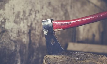 Werkzeug aus Gartenlaube am Elberadweg gestohlen