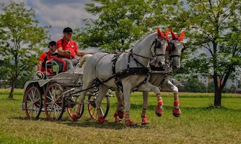Busfahrer überwältigen Tatverdächtigen nach Beilbedrohung in Leipzig