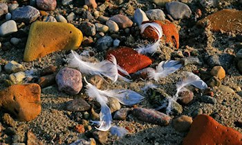 Polizei sucht Eigentümer von sichergestellten Fundsachen in Delitzsch