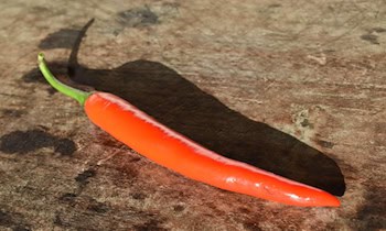 Porsche Cayenne in Dresden-Plauen gestohlen