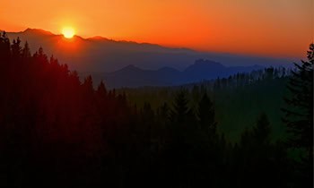 Mehrere Kellerabteile in Colmnitz aufgebrochen