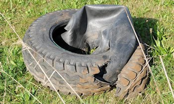 Illegale Altreifenentsorgung nahe Heinrichsort