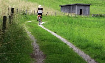 Radfahrerin trifft Autotür in Dresden-Blasewitz