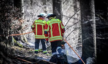 Waldboden in Glaubitz durch Brandstiftung beschädigt