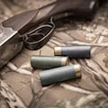 Polizeieinsatz wegen Schussabgabe in Cunnersdorf