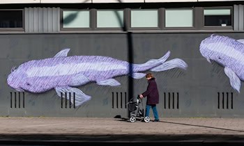 Großflächige Graffiti an Supermarktwand