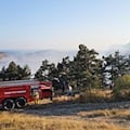 Waldbrand an Ferdinand-Schumann-Straße schnell eingedämmt