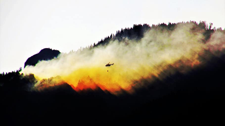 Großbrand im Wald bei Coswig