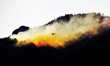 Großbrand im Wald bei Coswig