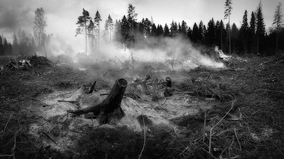 Großer Waldbrand bei Thiendorf-Kleinnaundorf