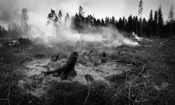 Großer Waldbrand bei Thiendorf-Kleinnaundorf