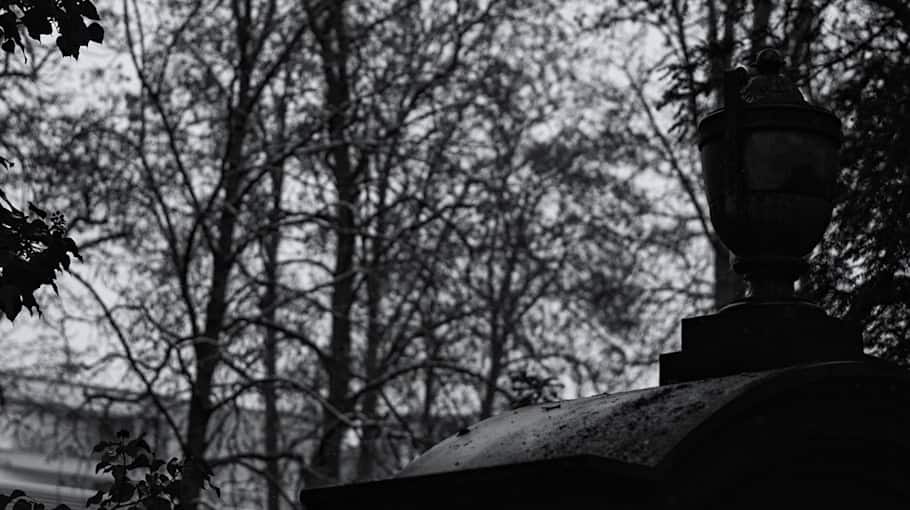 Zeugenaufruf nach Diebstahl einer Graburne auf dem Südfriedhof