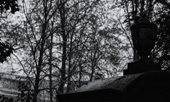 Zeugenaufruf nach Diebstahl einer Graburne auf dem Südfriedhof