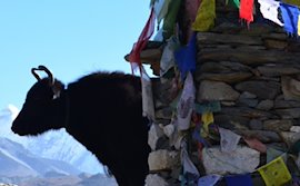 DIA-VORTRAG: „Trekking in Nepal - Dem Everest so nah und doch so fern“ 