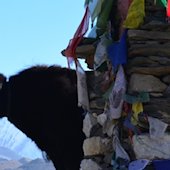 DIA-VORTRAG: „Trekking in Nepal - Dem Everest so nah und doch so fern“ 