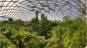 Gondwanaland im Zoo Leipzig / Foto: Zoo Leipzig
